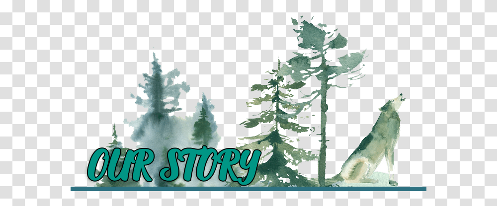 Ourstory Watercolor Wolf Forest, Tree, Plant, Conifer, Pine Transparent Png