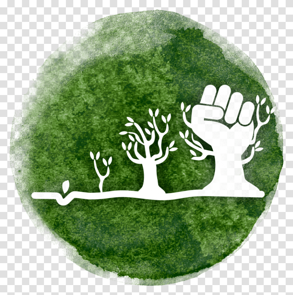 Ourstruggle Wc Grass, Plant, Moss, Logo Transparent Png