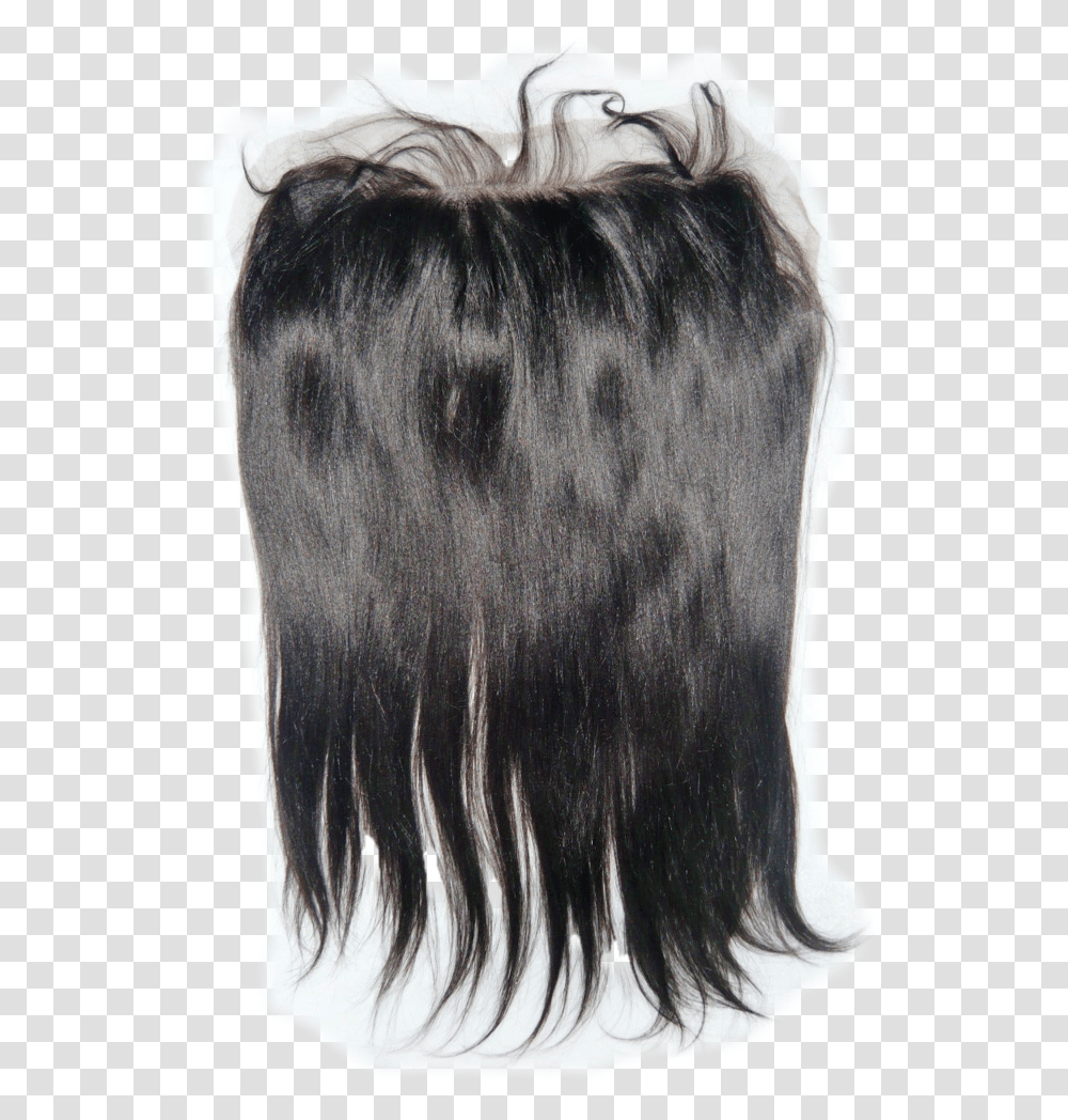 Out Of Stock Bvh Virgin Cambodian Straight Frontal, Horse, Mammal, Animal, Hair Transparent Png