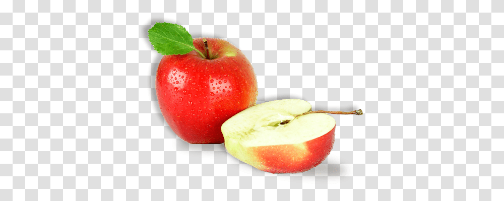 Out Spot Arctic Apple And Non Browning Potato Arctic Apple, Fruit, Plant, Food, Sliced Transparent Png