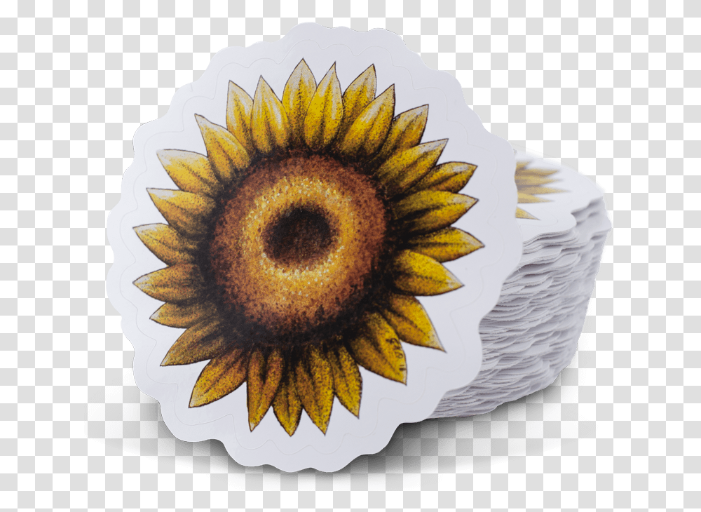 Outdoor Stickers Sunflower, Plant, Blossom, Spiral Transparent Png