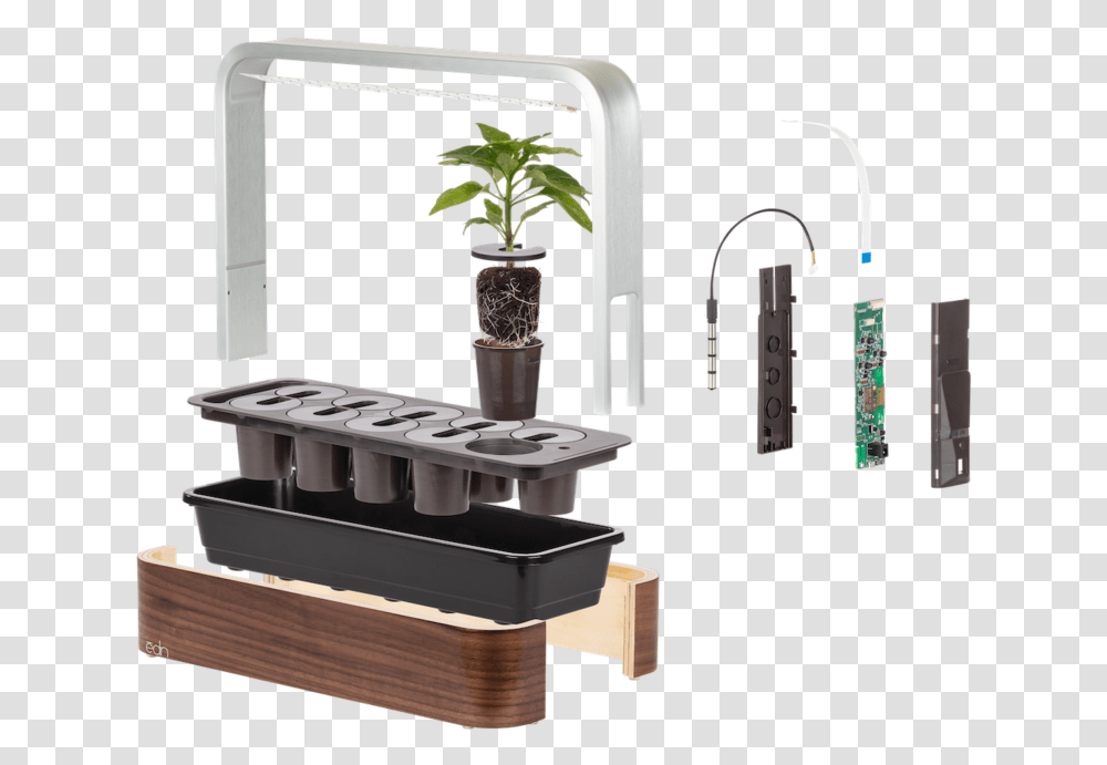 Outdoor Table, Plant, Sink Faucet, Indoors, Wedding Cake Transparent Png