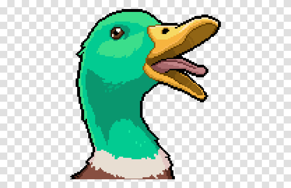 Outerminds Twitter Quack Legendofthebrofist Pewdiepie Pewdiepie Legend Of Brofist Title, Beak, Bird, Animal, Flamingo Transparent Png