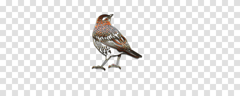 Outline Animals, Beak, Bird, Finch Transparent Png
