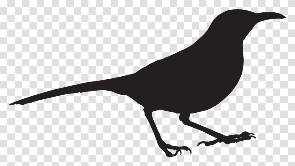 Outline Clipart Of Birds Black And White, Animal, Reptile, Dinosaur, Gecko Transparent Png