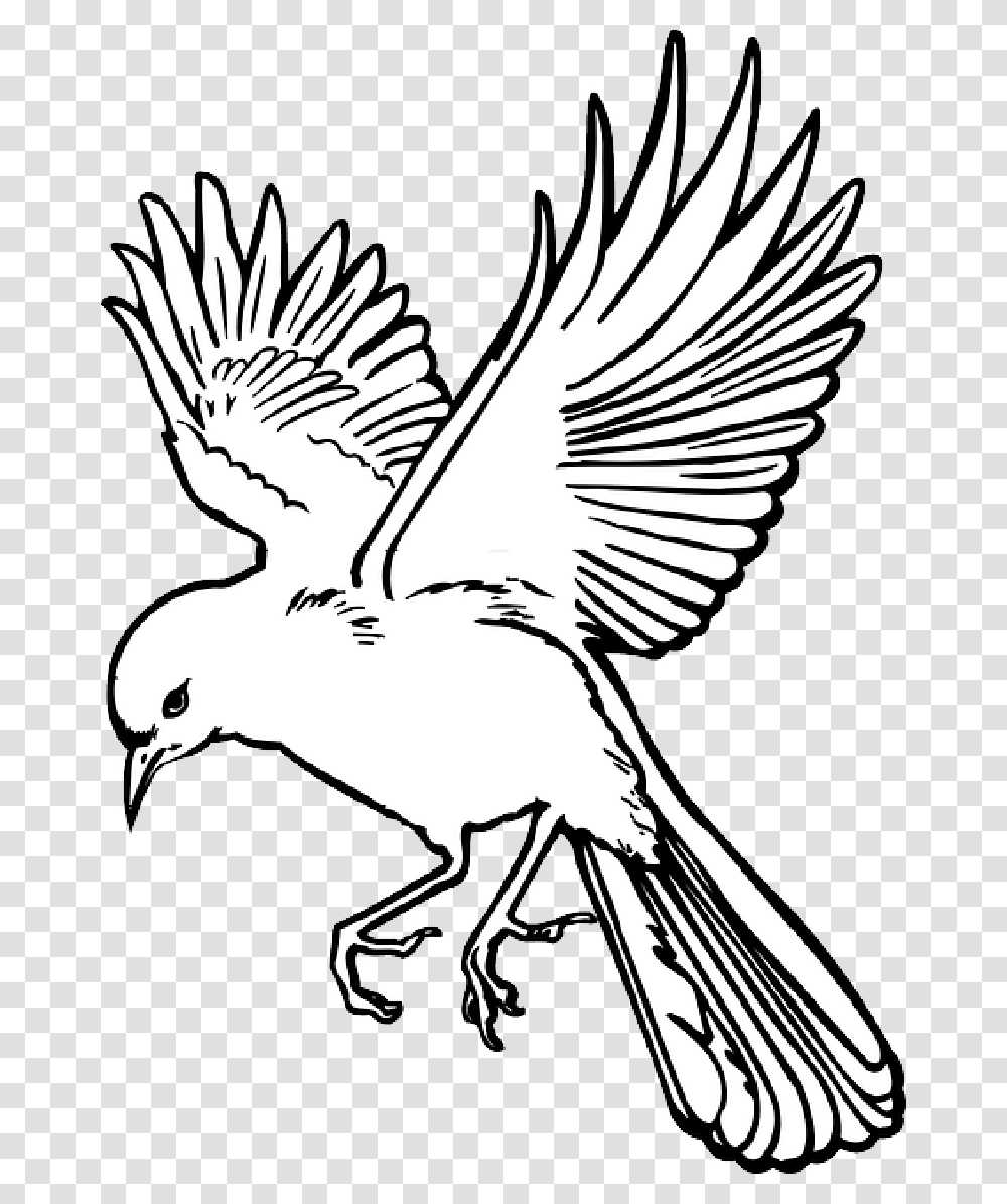 Outline Drawing Bird Wings Art, Animal, Flying, Finch, Stencil Transparent Png