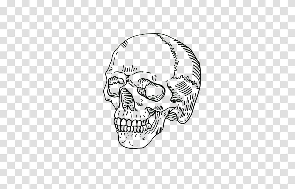 Outline Drawing Grim Reaper Skull Full Size Skull Line Art, Face, Head, Female, Photography Transparent Png