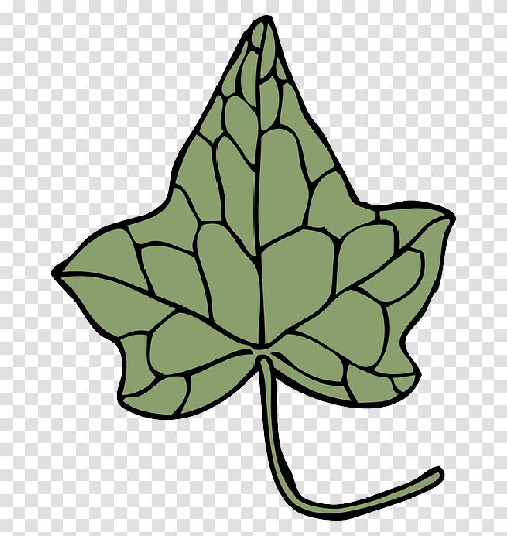 Outline Drawing Leaf Cartoon Template Plant Ivy Leaf Clip Art, Tree, Ornament Transparent Png