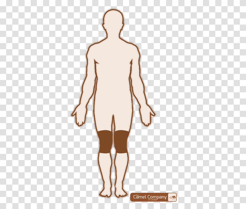 Outline Drawing Of Human Body Download Male Body Outline Template, Person, Torso Transparent Png