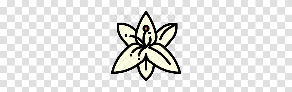 Outline Image Of Lily Flower, Poster, Advertisement, Plant Transparent Png