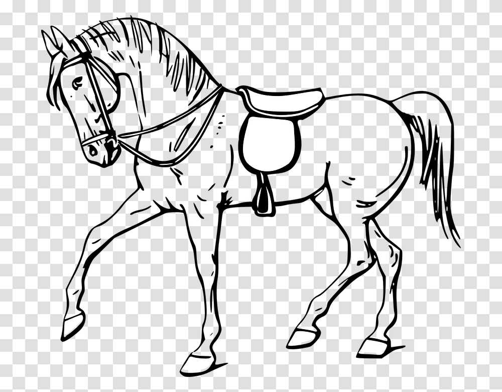 Outline Images Of Horse, Lamp, Stencil Transparent Png