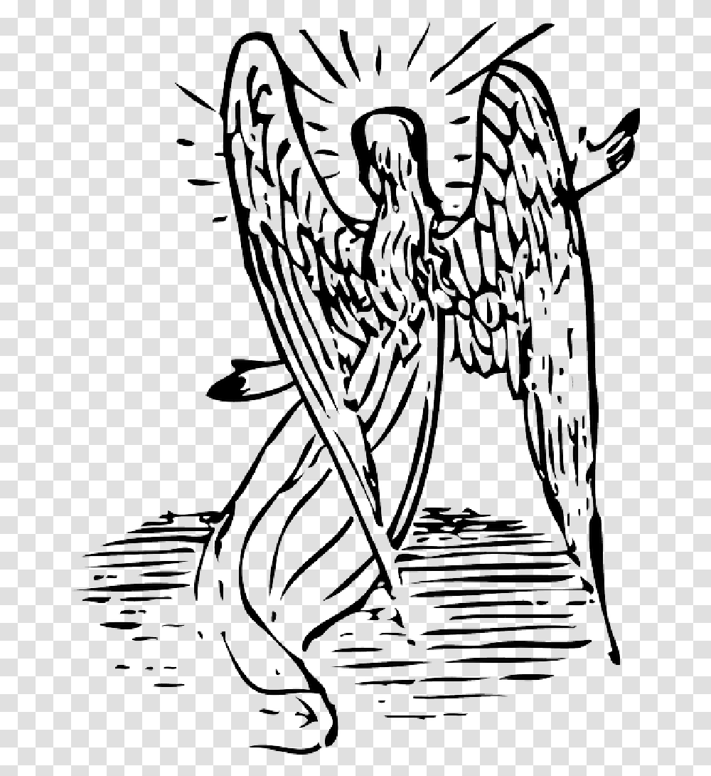 Outline Light Angel Wings Behind Vector Angel Clip Art, Archangel, Tiger, Wildlife, Mammal Transparent Png