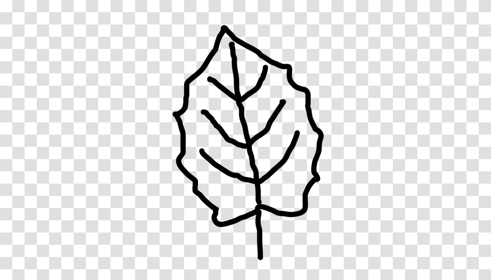 Outline Maple Leaf, Plant, Pattern, Ornament, Spider Transparent Png