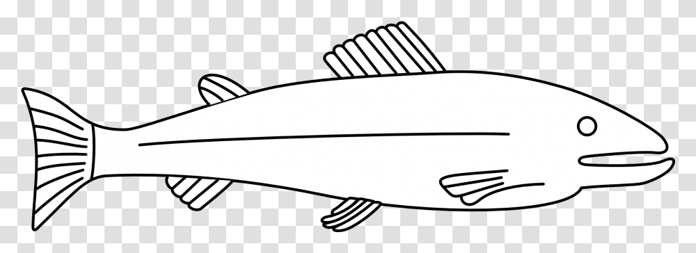 Outline Of A Fish, Animal, Water, Outdoors, Tuna Transparent Png
