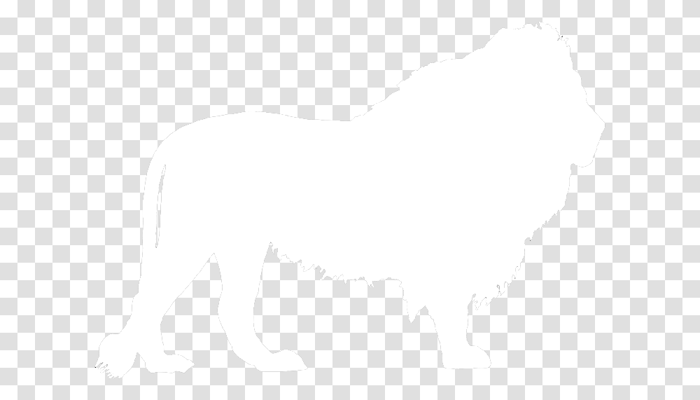 Outline Of A Lion, Mammal, Animal, Wildlife, Canine Transparent Png