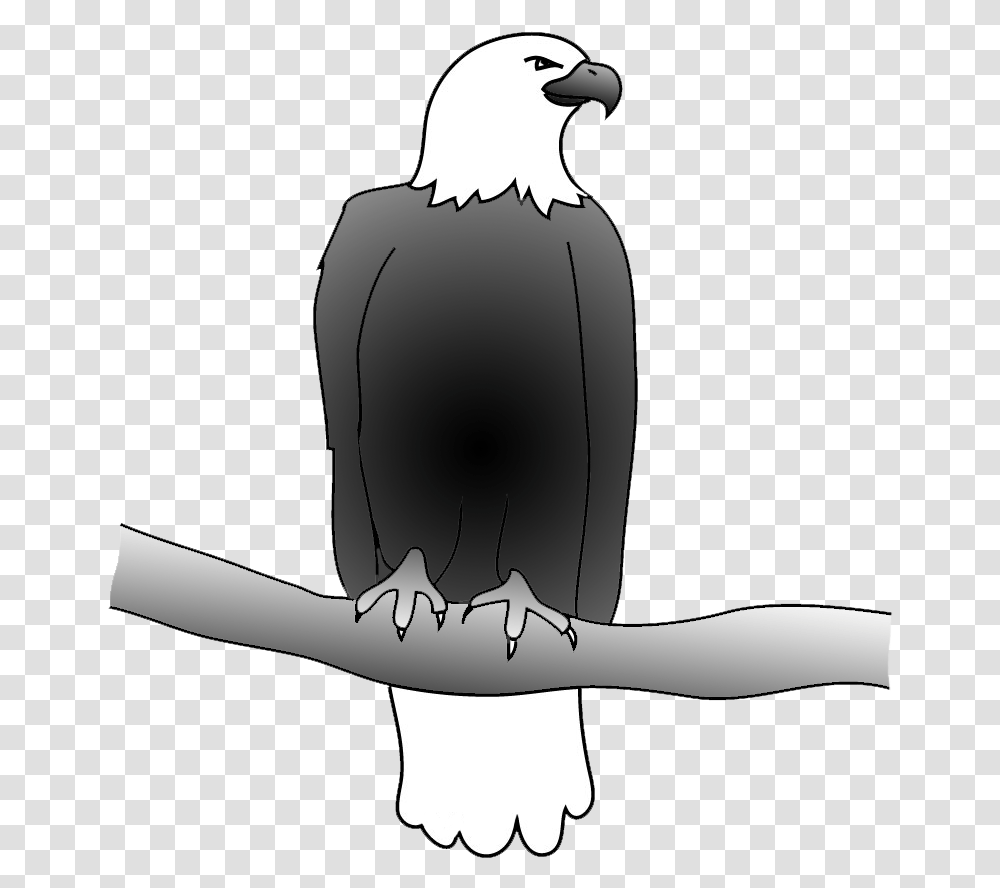 Outline Of Bald Eagle Bald Eagle Drawing Drawing, Bird, Animal, Beak, Hawk Transparent Png