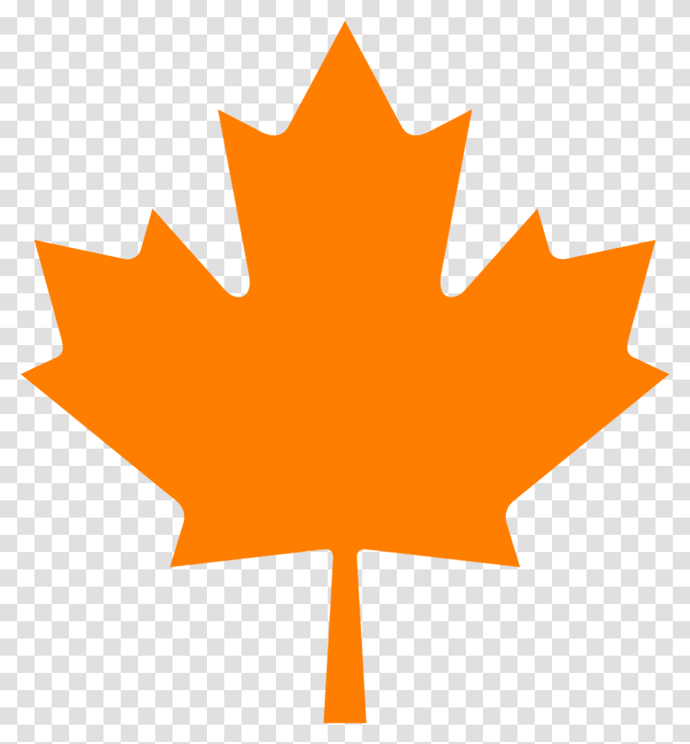 Outline Of Canadian Maple Leaf, Plant, Tree Transparent Png
