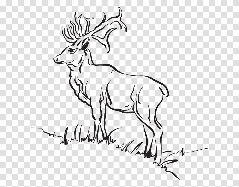 Outline Of Forest Animals, Elk, Deer, Wildlife, Mammal Transparent Png
