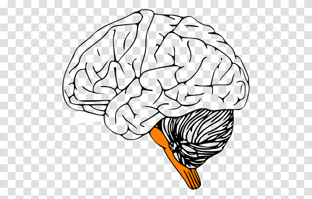 Outline Of Human Brain, Cutlery, Fork Transparent Png