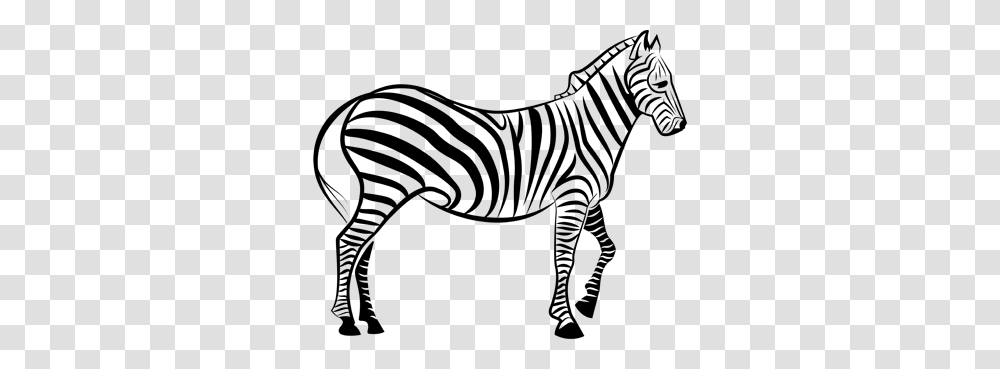 Outline Of Zebra, Gray, World Of Warcraft Transparent Png