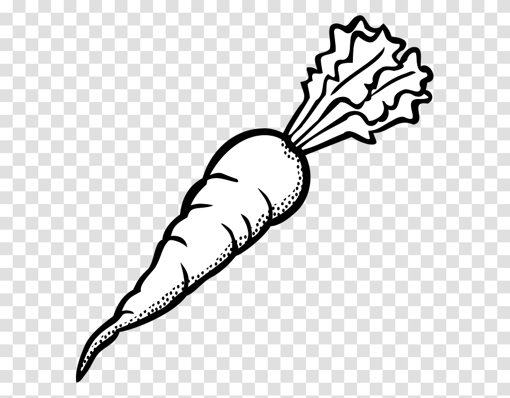 Outline Picture Of Carrot, Plant, Vegetable, Food, Produce Transparent Png