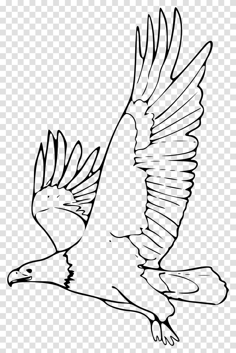 Outline Picture Of Eagle, Gray, World Of Warcraft Transparent Png