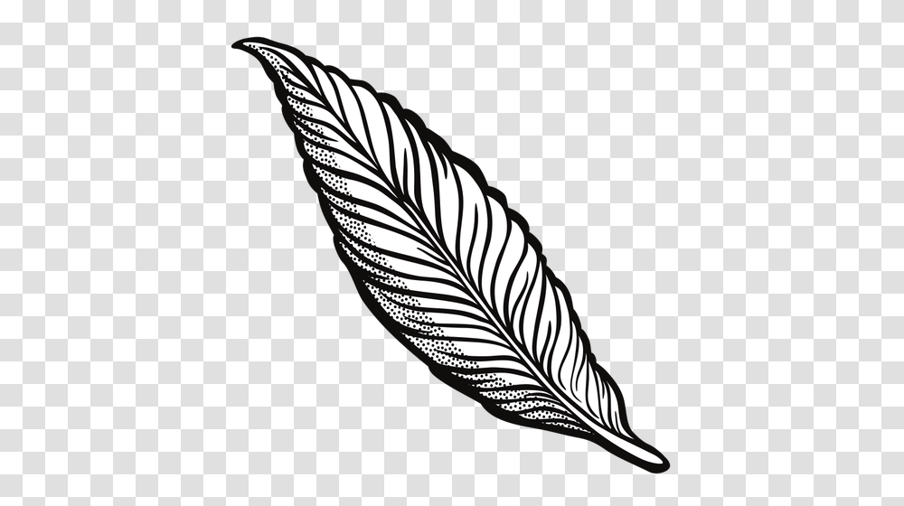 Outlined Feather, Leaf, Plant, Bird, Animal Transparent Png