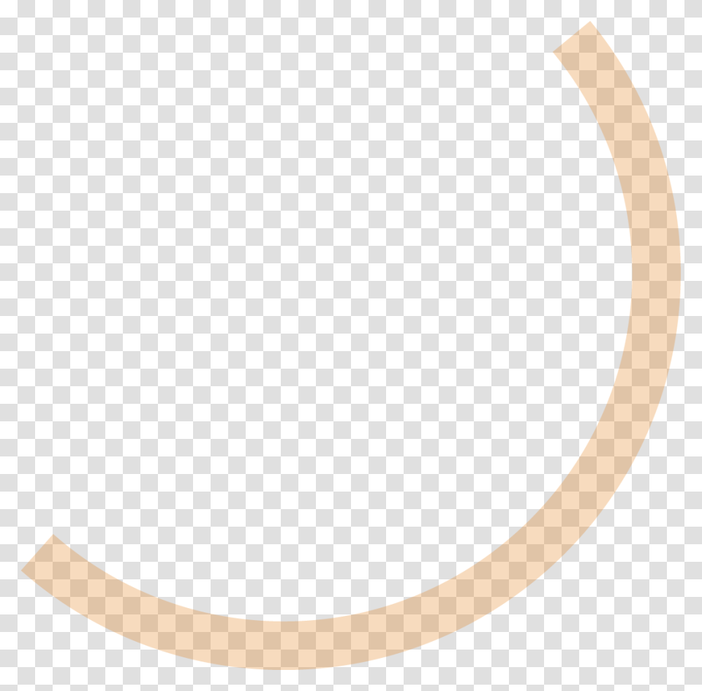 Oval Circle, Label, Logo Transparent Png