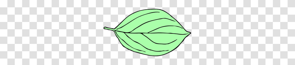 Oval Clipart, Plant, Produce, Food, Grain Transparent Png