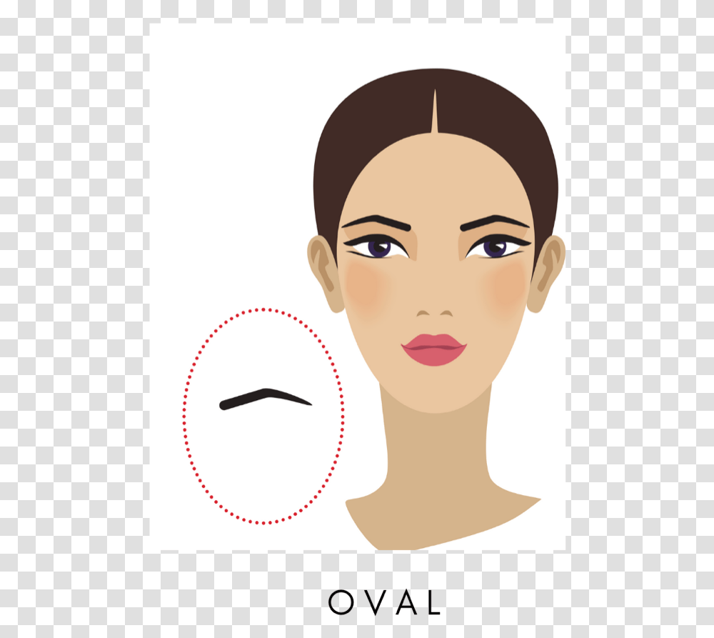 Oval Eyebrow Shape Illustration, Face, Person, Head, Neck Transparent Png