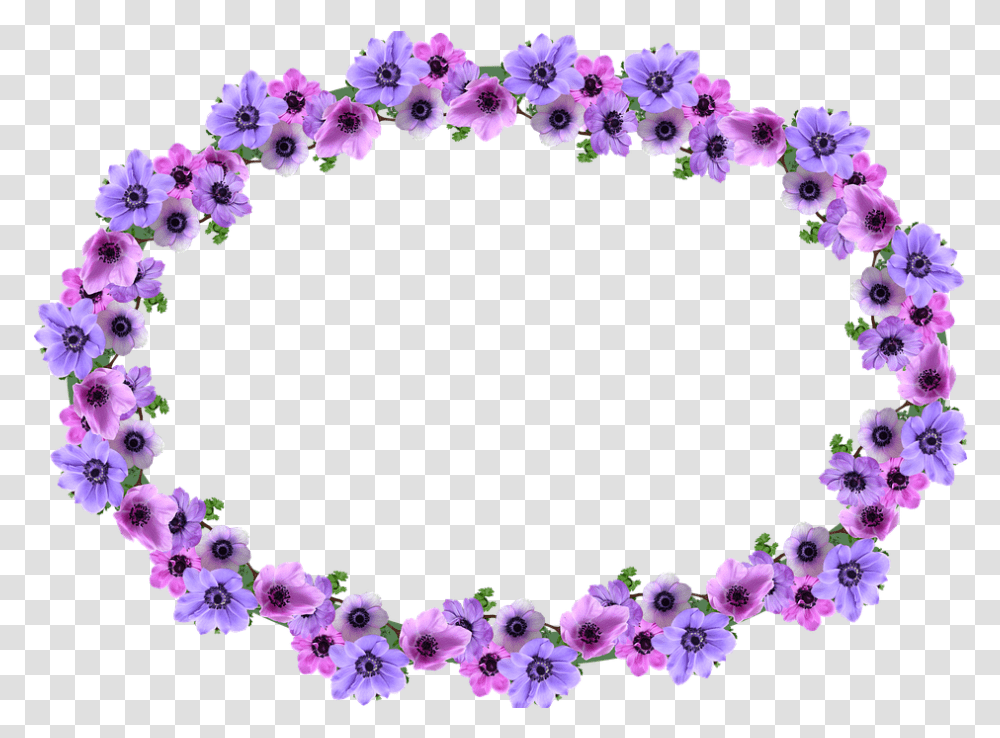 Oval Floral Border Design, Plant, Flower, Blossom, Flower Arrangement Transparent Png