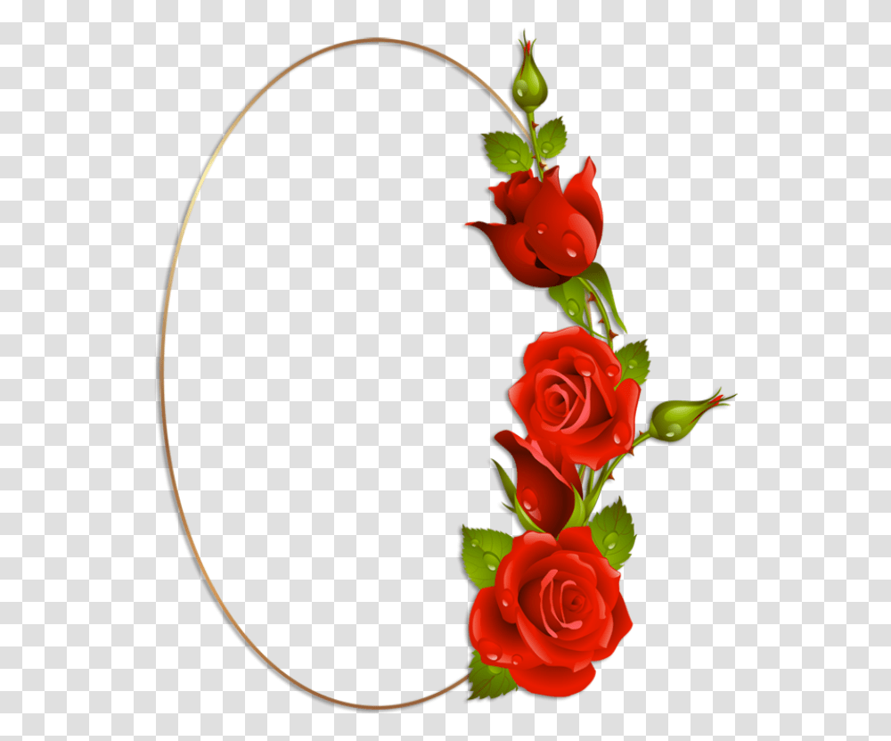 Oval Frame Rose Flower Borders For Paper Love Kiss Red Rose Photo Hd, Plant, Blossom, Graphics, Art Transparent Png