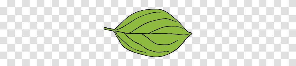 Oval Leaf Clip Art, Plant, Tennis Ball, Vegetable, Food Transparent Png