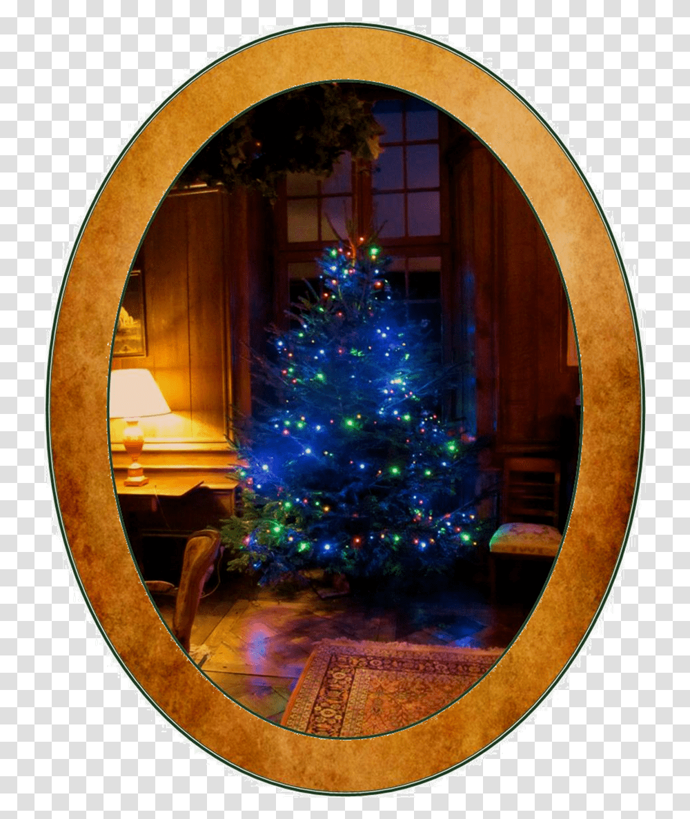 Oval Pic Christmas Ornament, Tree, Plant, Fisheye, Christmas Tree Transparent Png