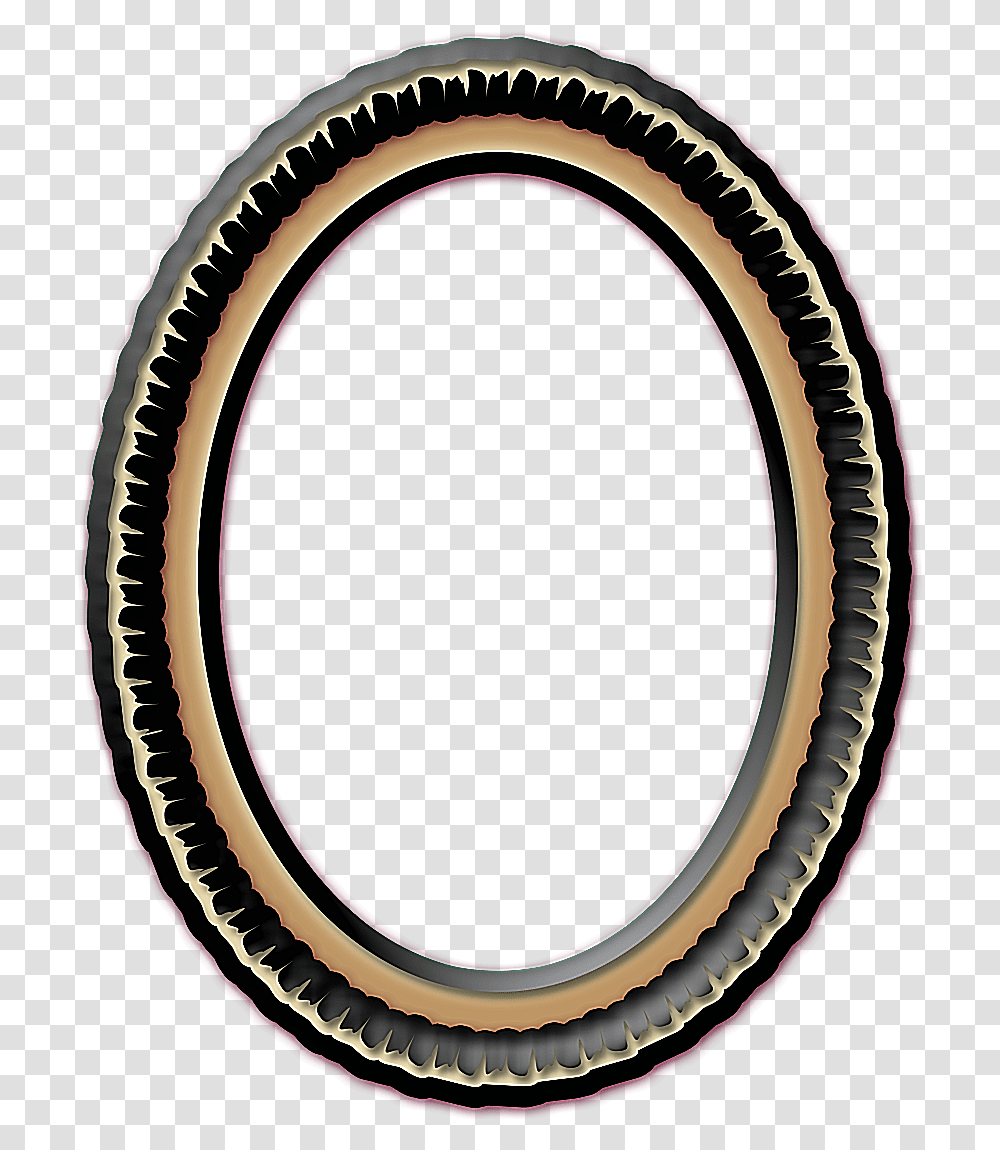 Oval Picture Frame Circle, Rug, Whip Transparent Png