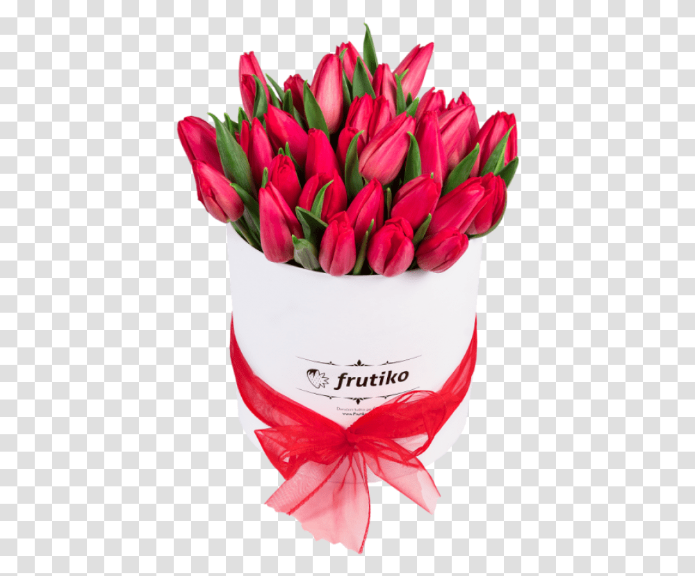 Oval White Box With Fresh Red Tulips Tulips In The Box, Plant, Flower Bouquet, Flower Arrangement, Blossom Transparent Png