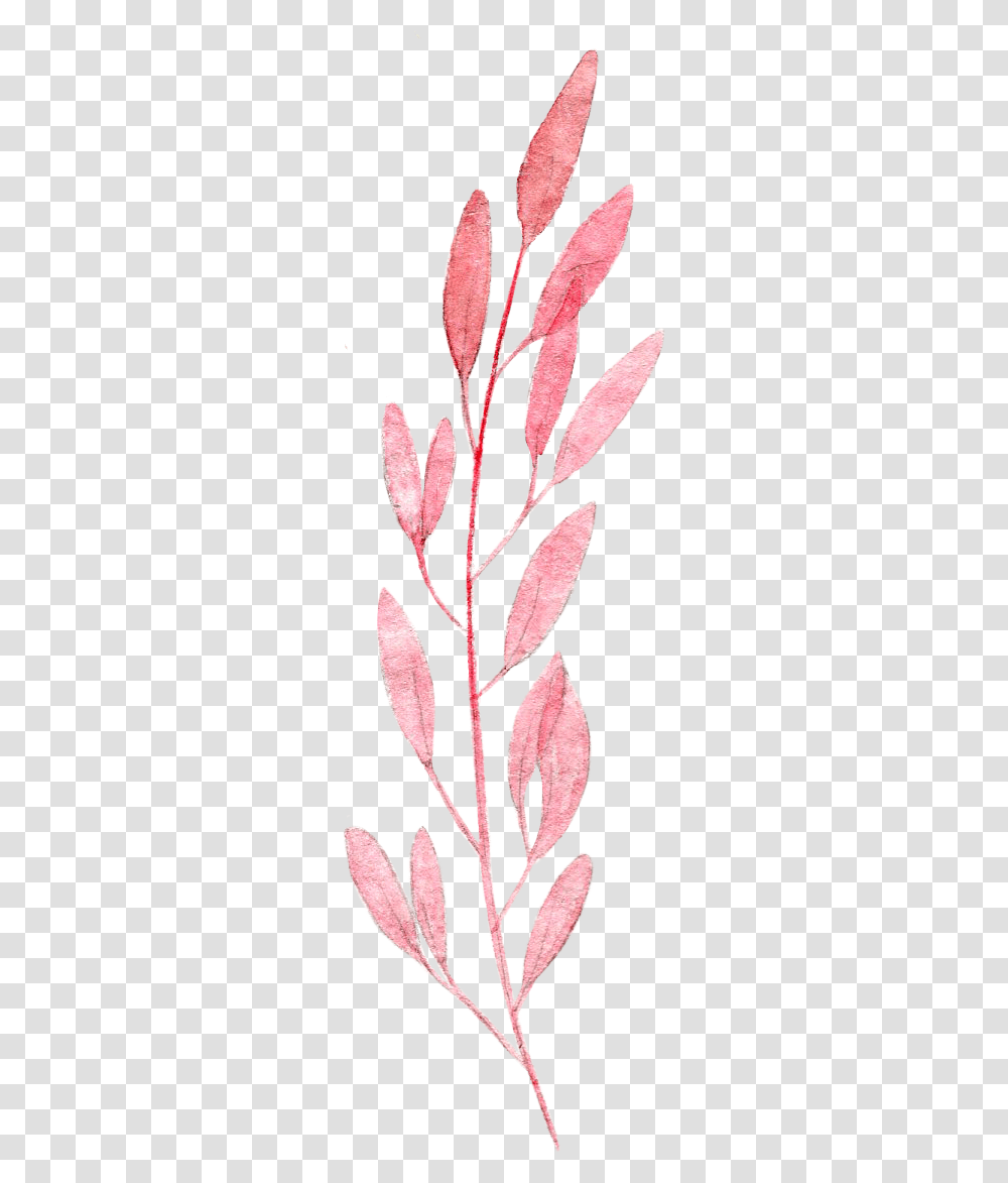 Ovate Leaf Pink Plant Illustration Watercolor Painting Leaf Watercolor Paint, Drawing, Sketch, Doodle Transparent Png