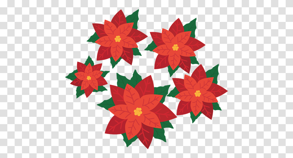 Over 30 Free Poinsettia Vectors Clipart Poinsettia Flowers, Leaf, Plant, Blossom, Pattern Transparent Png