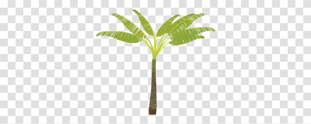 Over 60 Free Palm Leaves Vectors Pixabay Pixabay Palm Tree Clip Art, Plant, Arecaceae, Leaf, Green Transparent Png