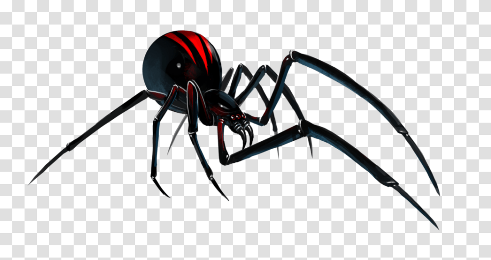 Over Black Widow Spider Clip Art Cliparts Black Widow Spider, Animal, Bow, Invertebrate, Insect Transparent Png