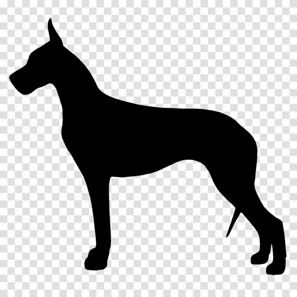 Over Great Dane Vector Cliparts Great Dane Vector, Silhouette, Mammal, Animal, Pet Transparent Png