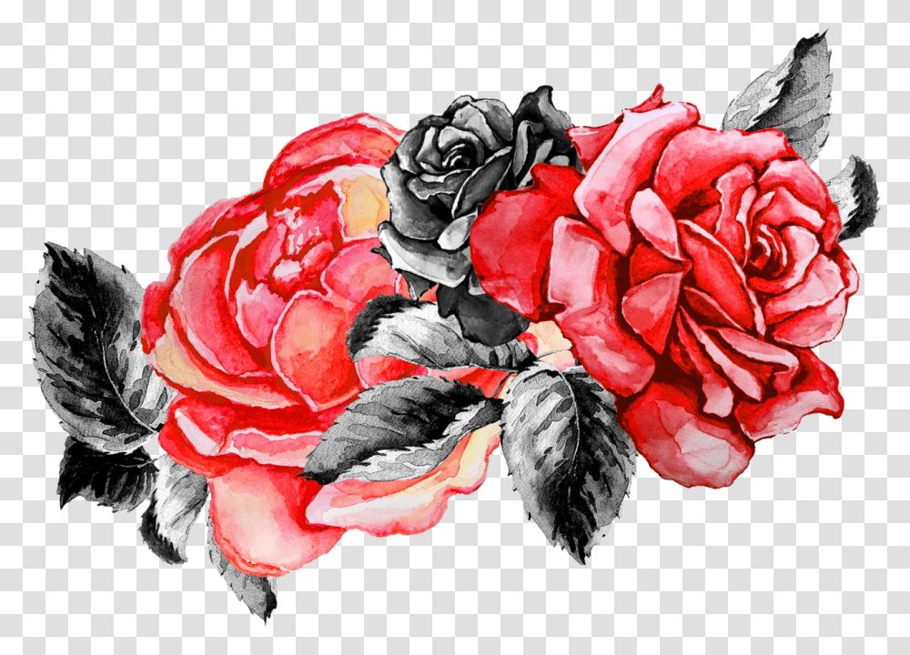 Overlay And Image Red Flower Render Picsart, Plant, Rose, Blossom, Fruit Transparent Png