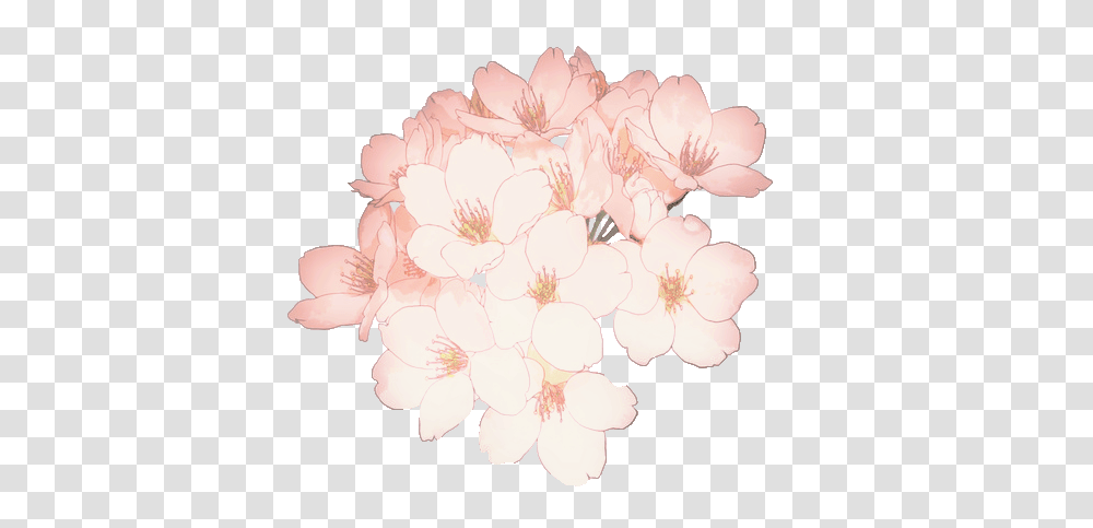 Overlay And Image Sakura Flower, Plant, Geranium, Blossom, Cherry Blossom Transparent Png