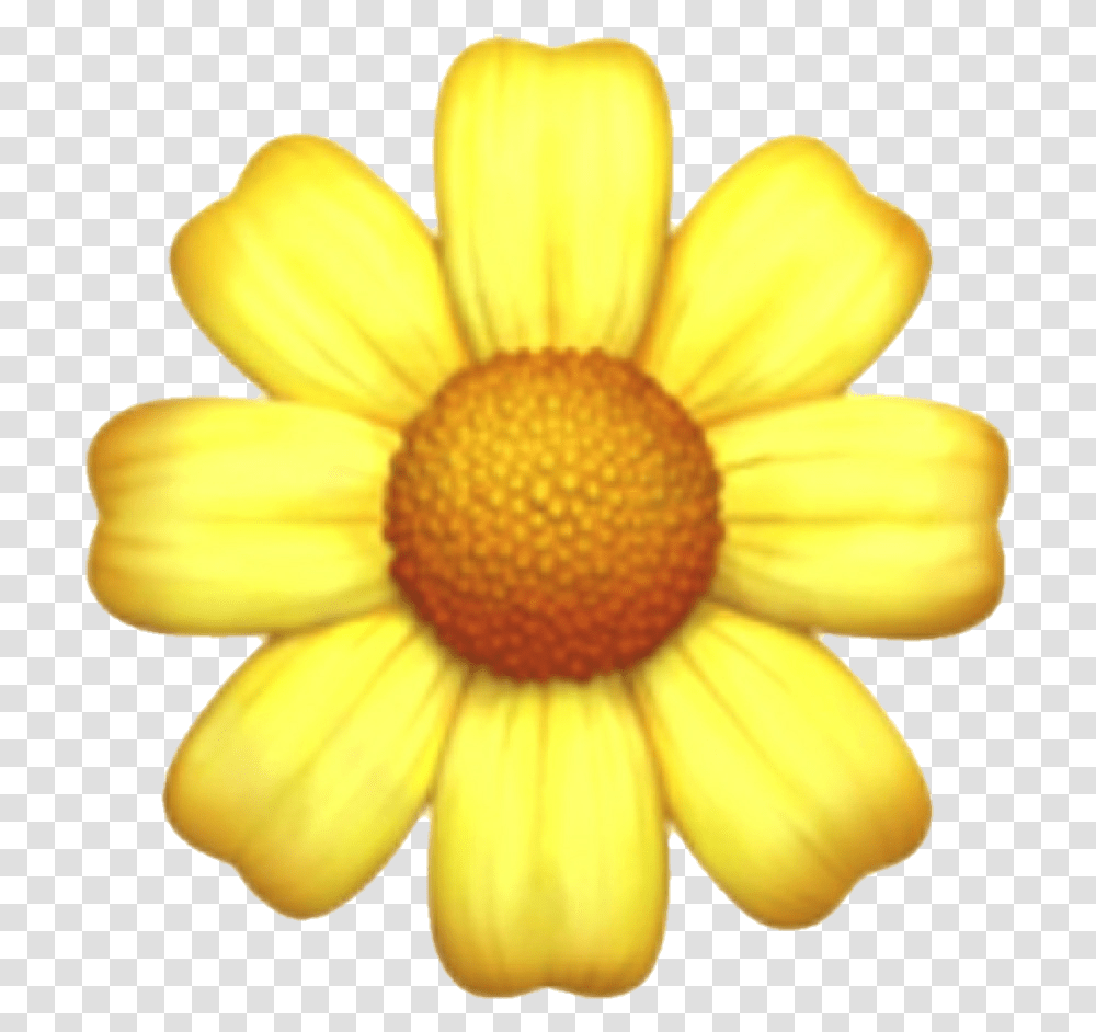 Overlay And Template Image Iphone Flower Emoji, Plant, Daisy, Daisies, Blossom Transparent Png