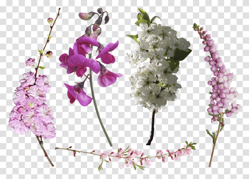 Overlay Flowers Photoshop Transparent Png