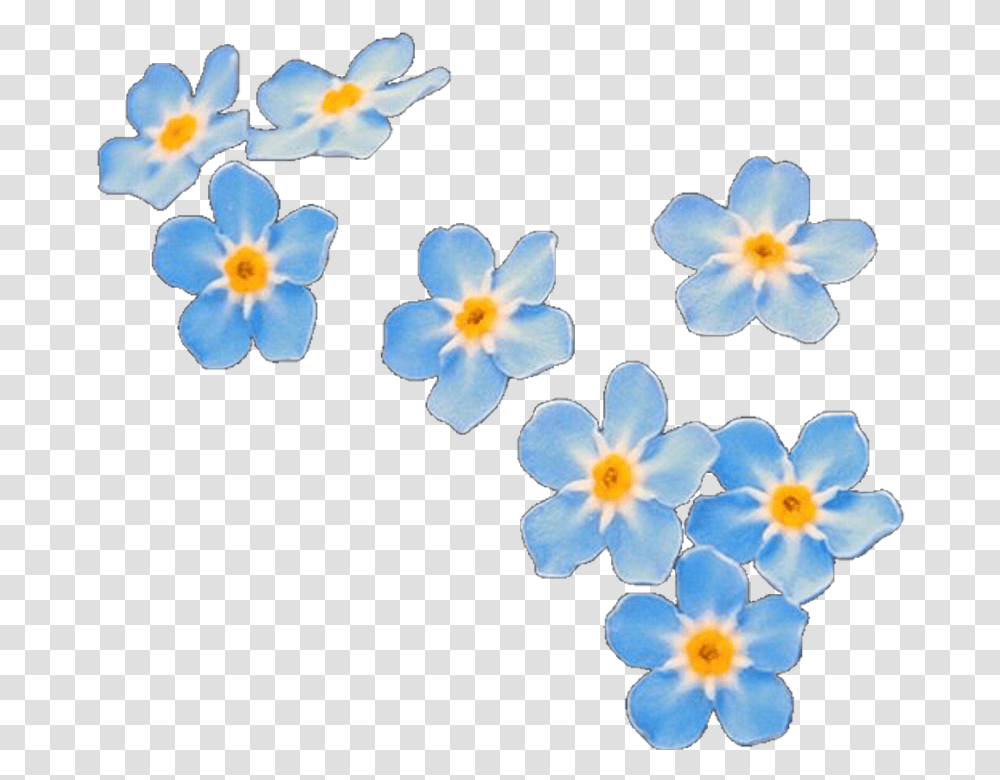 Overlay Overlays Flower Flowers Blue Editinghelp Forget Me Not Flowers Cartoon, Plant, Blossom, Anemone, Petal Transparent Png