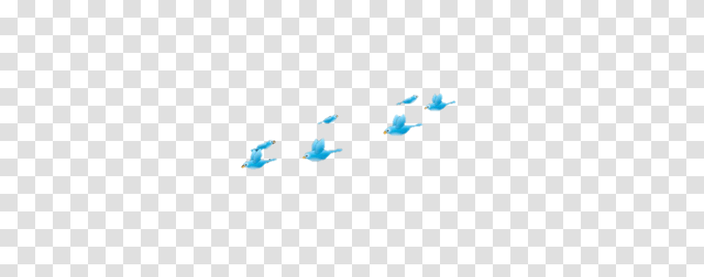 Overlay Tumblr, Flying, Bird, Animal, Flock Transparent Png