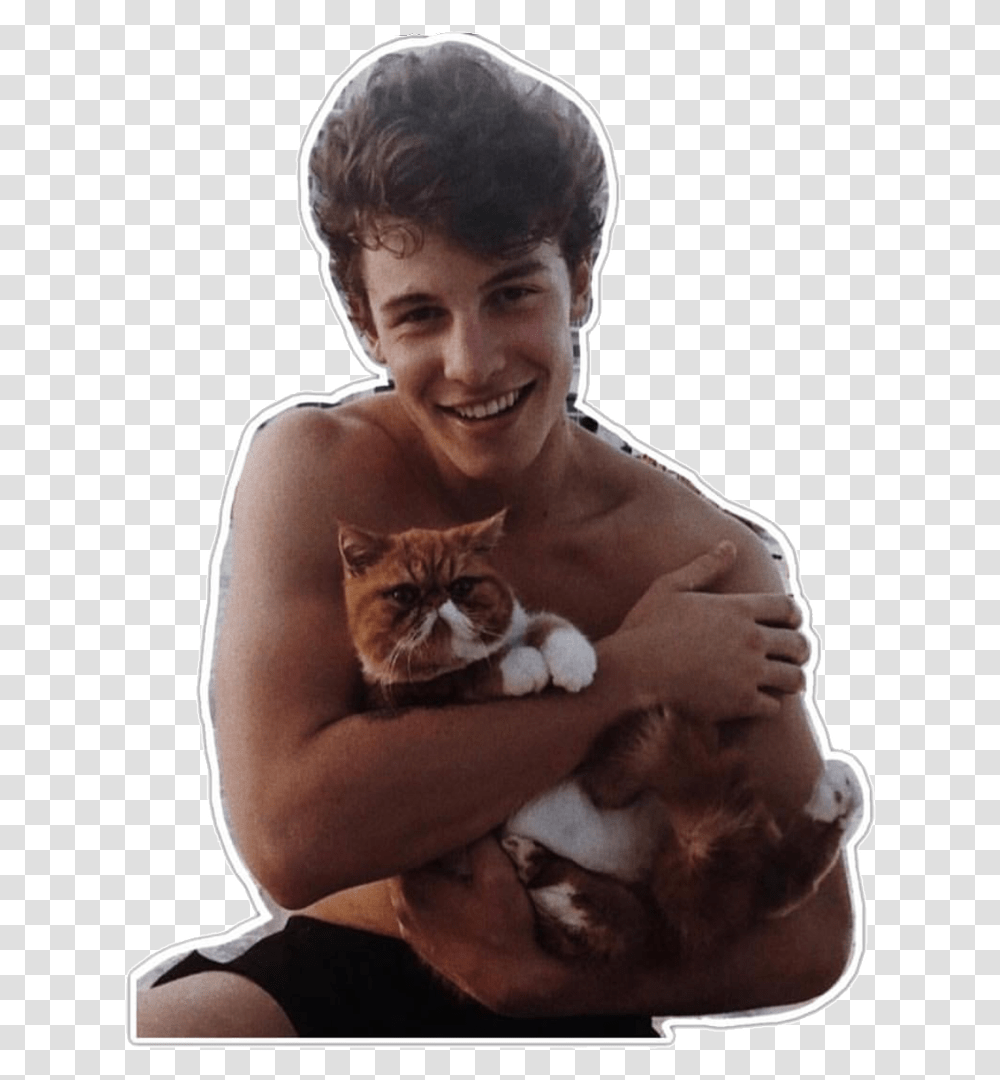 Overlays Complex Singers People Overlay Pngs Shawn Mendes Holding A Cat, Person, Pet, Mammal, Animal Transparent Png
