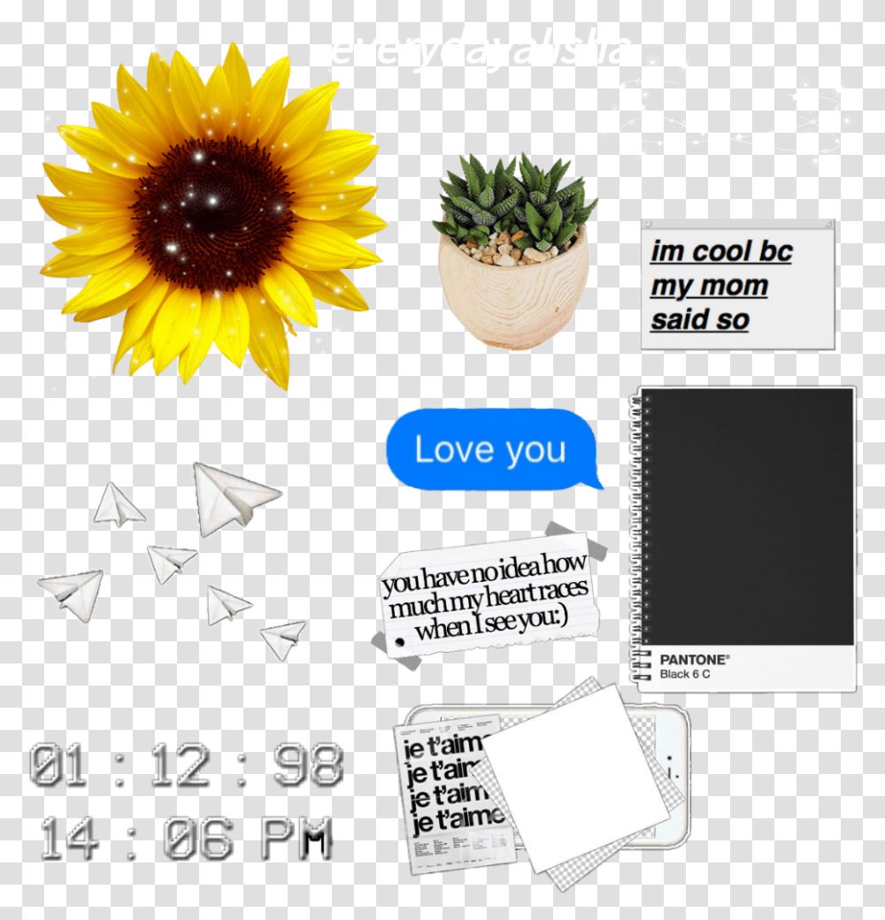 Overlays Editing Instagram Tumblr Icon Instagram Edit Overlays, Paper, Plant, Flower Transparent Png