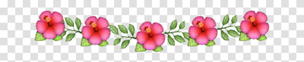 Overlays Flores, Plant, Hibiscus, Flower, Blossom Transparent Png